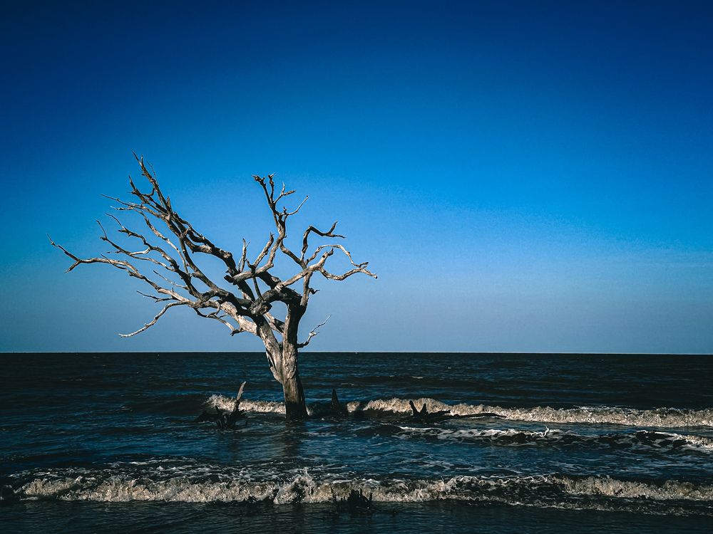 Photograph by Preethy Ganesan