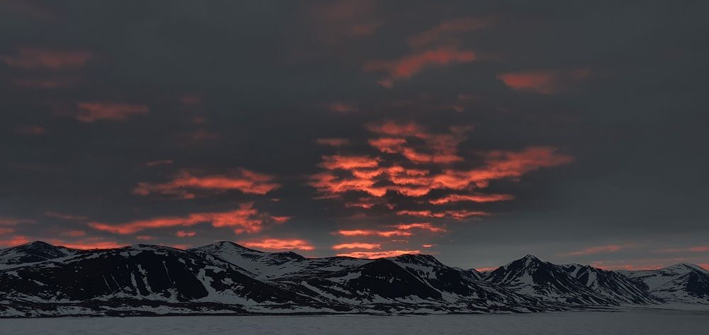 Photo #11867660