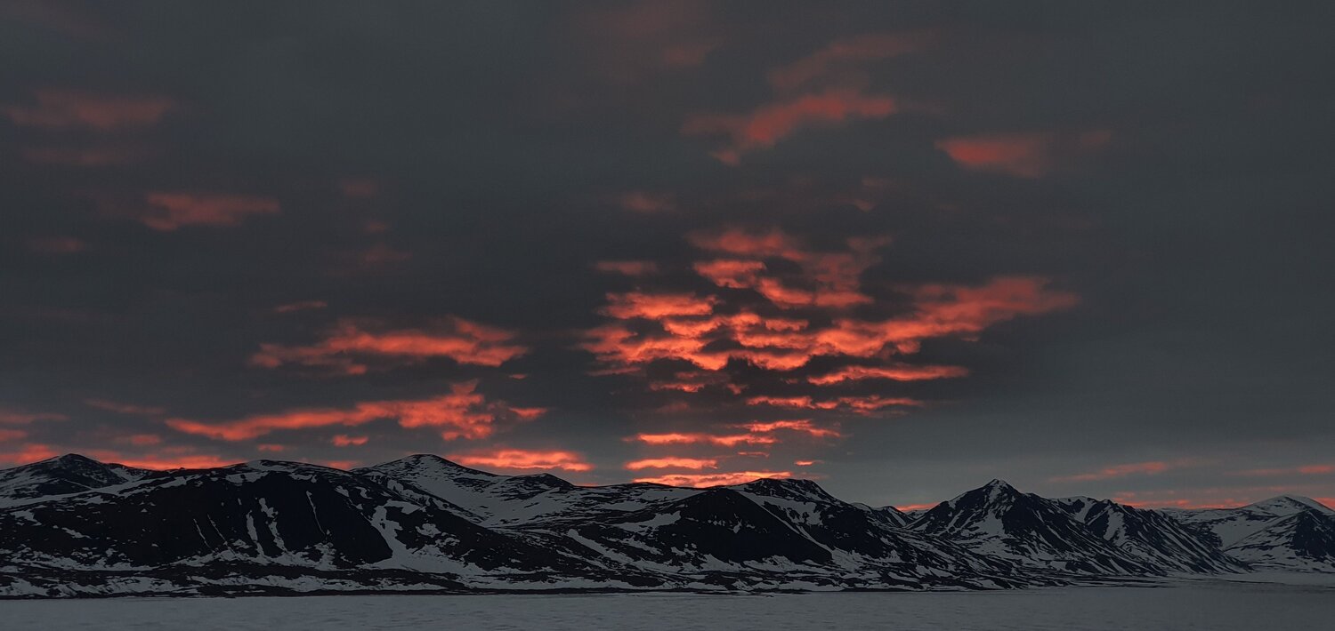 Photo #11867660