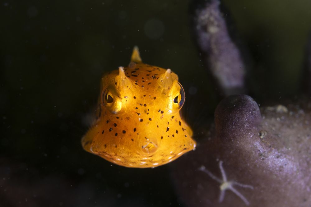 Photograph by Ceci Ver