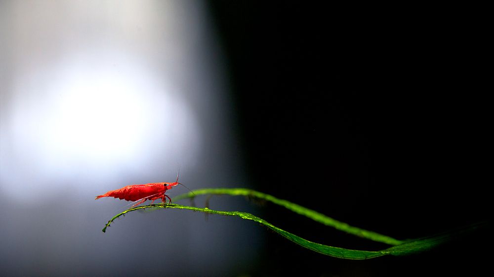 Photograph by Владимир Ходаковский