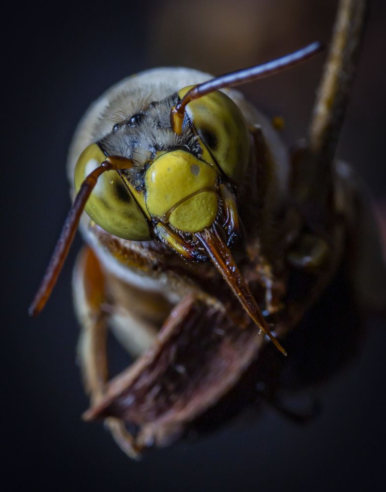 Photograph by Rodolfo Vega Littlewood