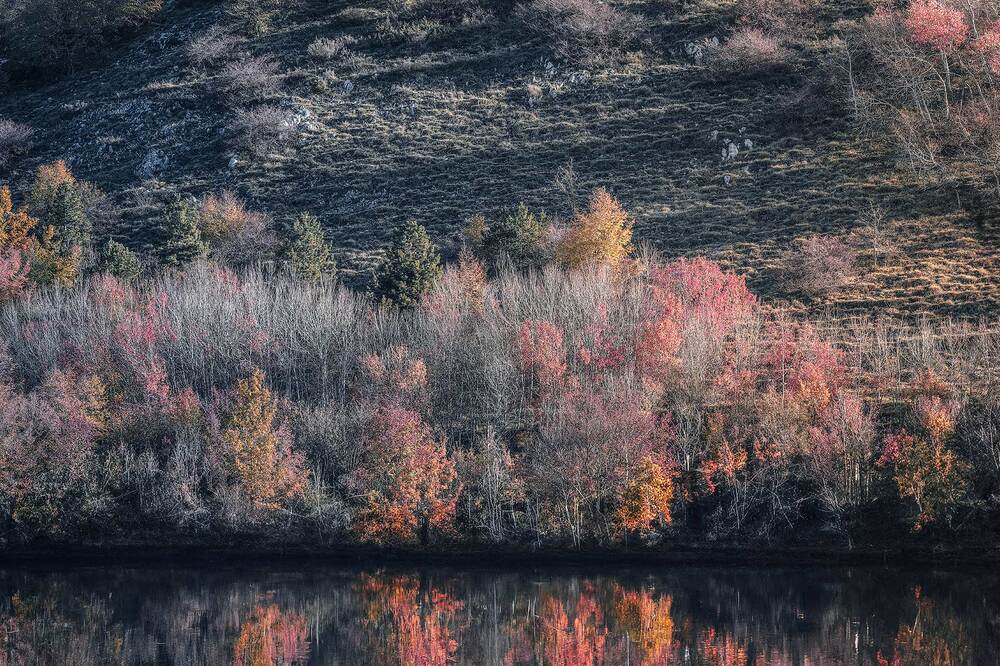 Photograph by dario camasso