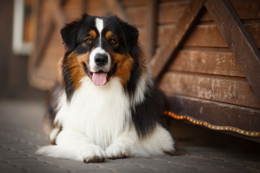 Photograph by Евгения Костусева