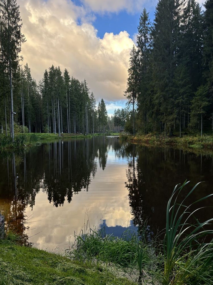 Photograph by Ирина Чугаева