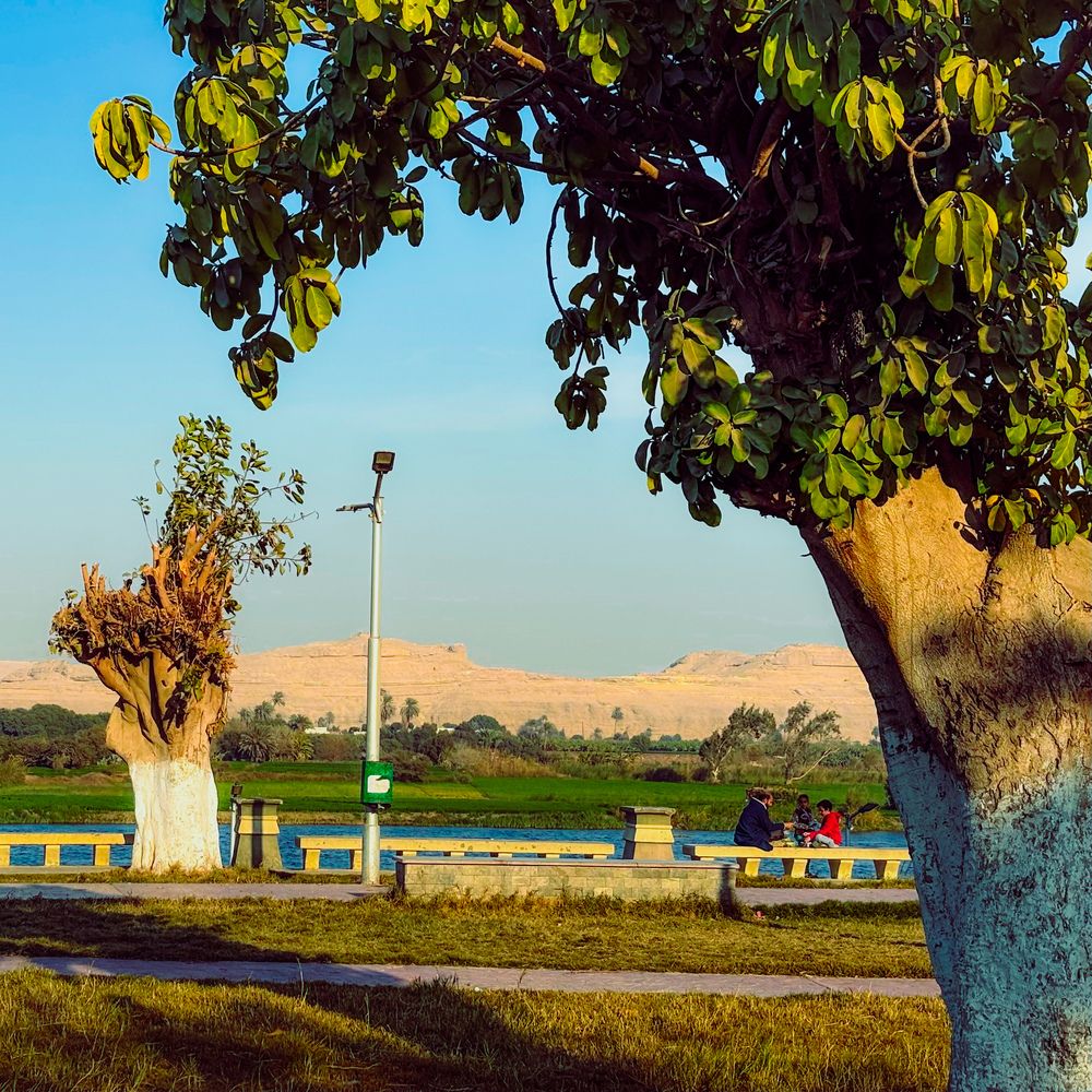 Фотография автора John Salib