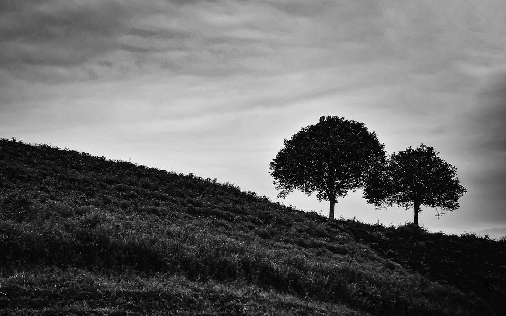Photograph by Rambit Donny