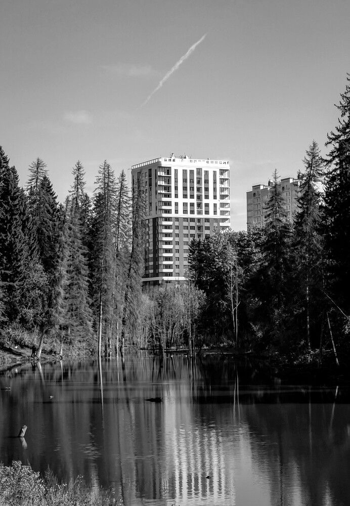 Photograph by Ксения Шилина