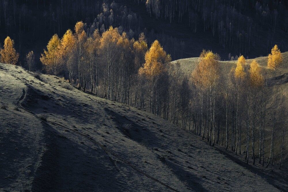 Осенние тени