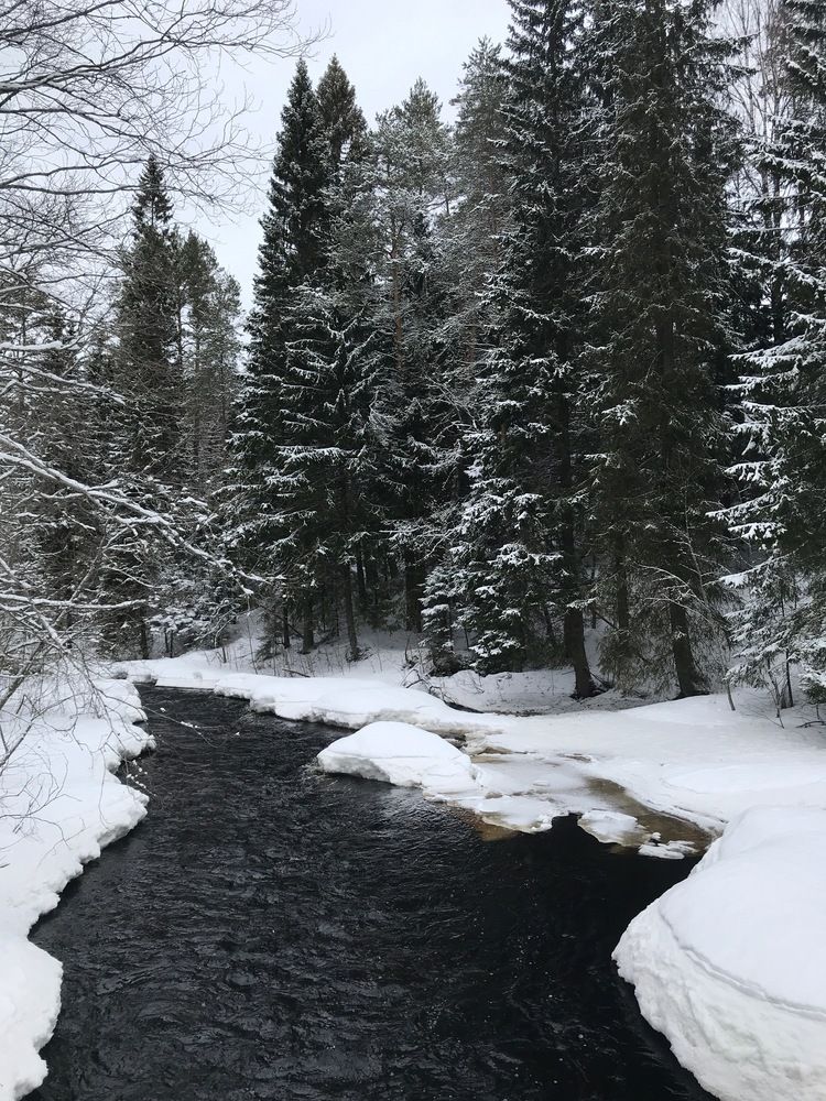 Photograph by Татьяна Шибанова