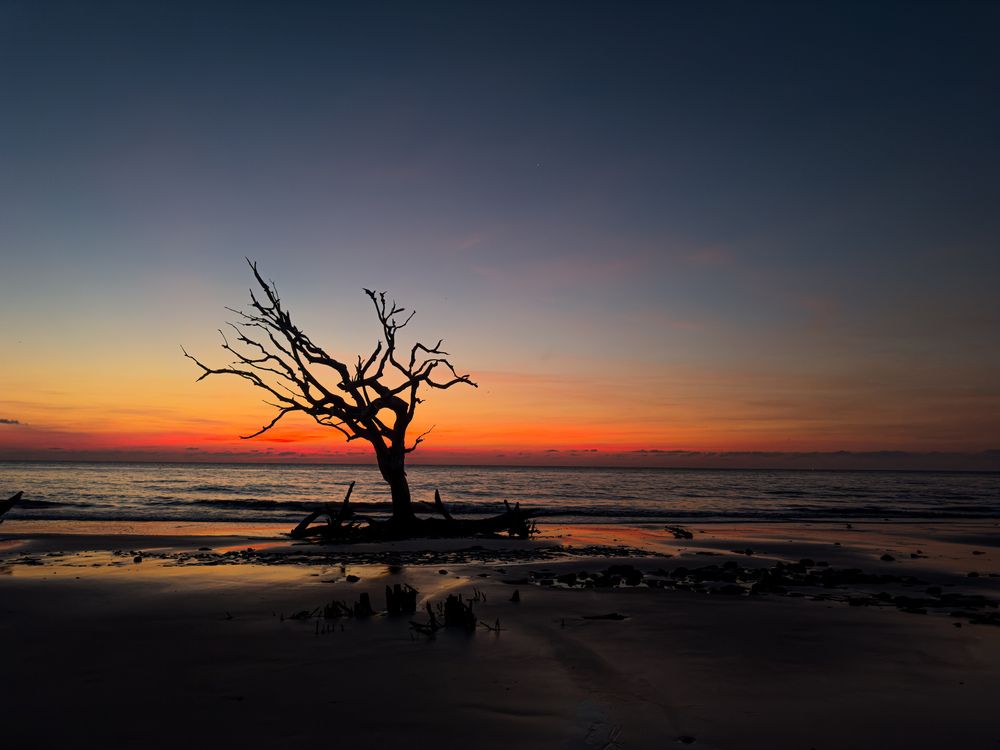 Photograph by Preethy Ganesan