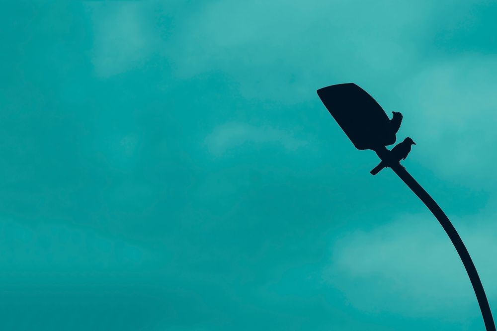 Фотография автора Moto Ambar