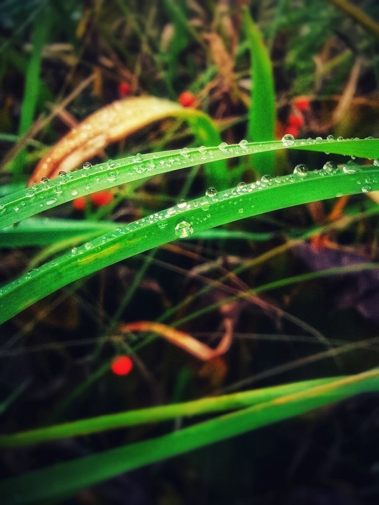 Photograph by Максим Агафонов