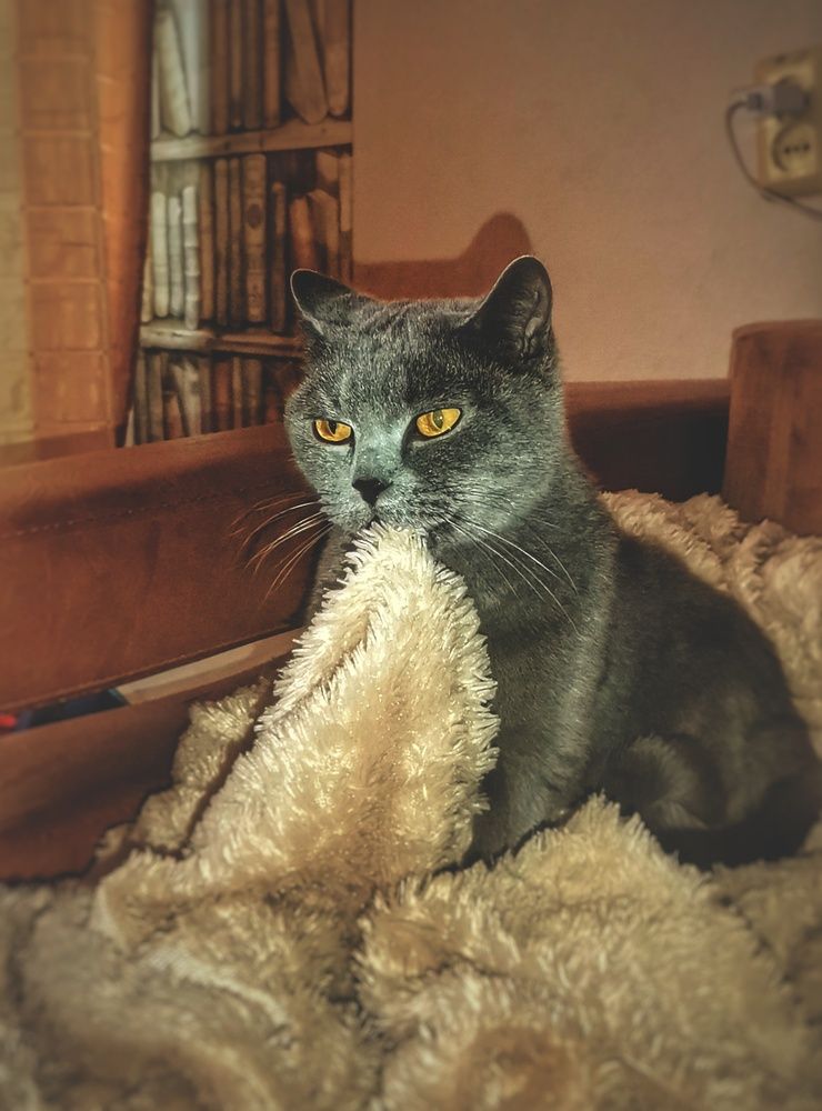 Photograph by Максим Агафонов