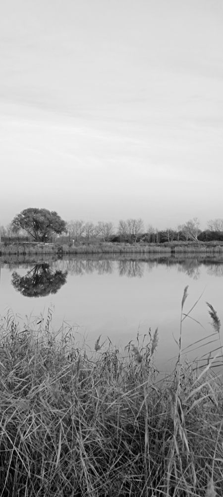 Photograph by Валентин Волк