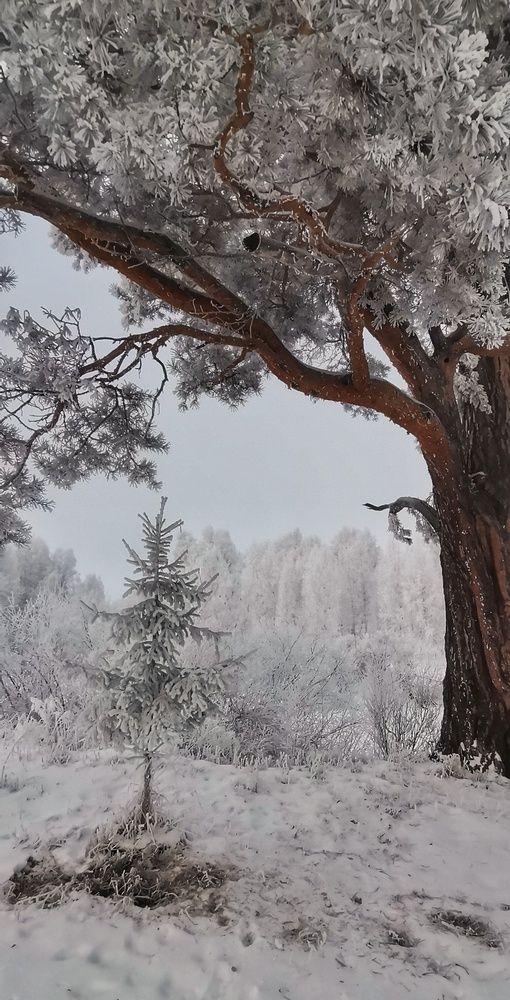 Photograph by Максим Агафонов