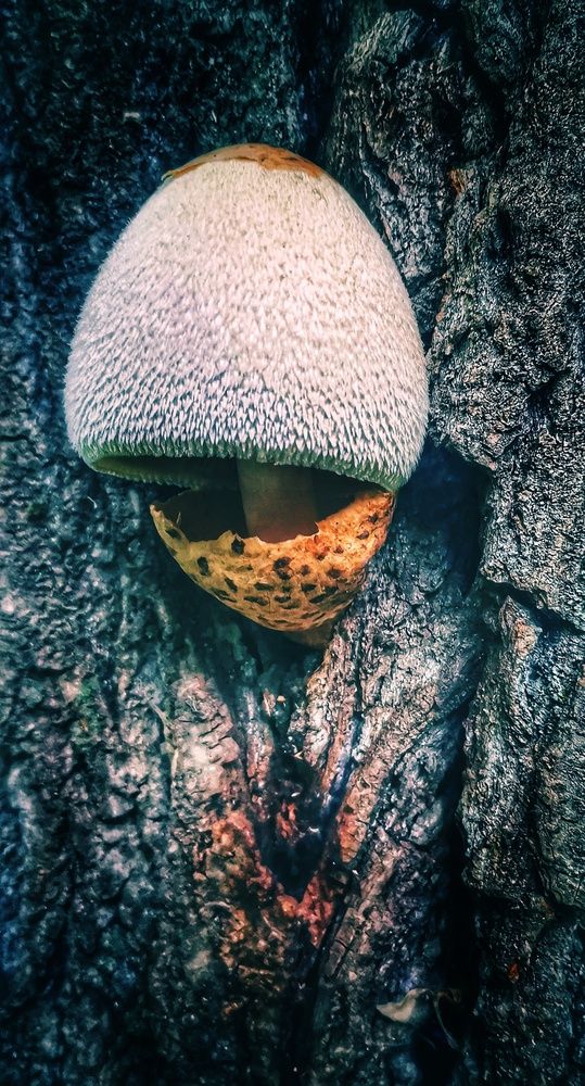 Photograph by Максим Агафонов