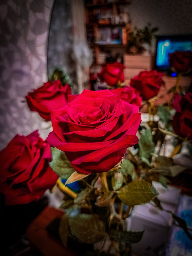 Photograph by Владимир Сушкин