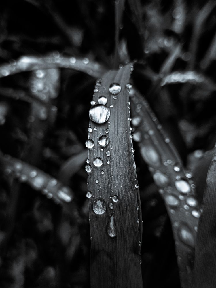 Photograph by Владимир Сушкин