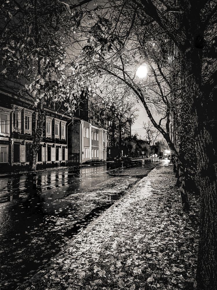 Photograph by Владимир Сушкин