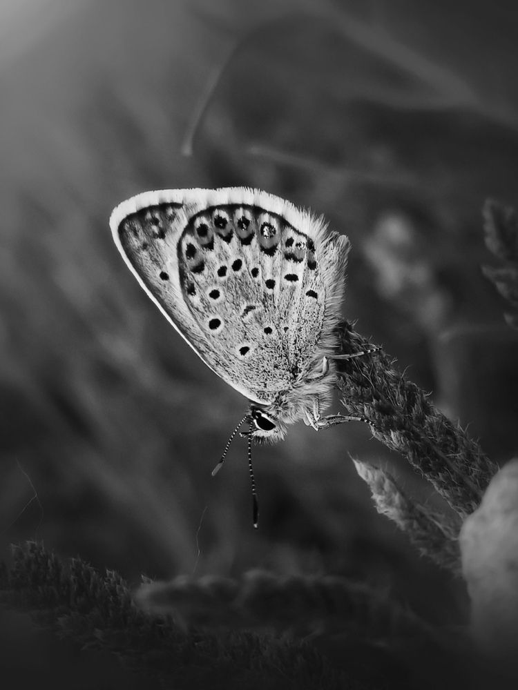 Photograph by Александра Королёва