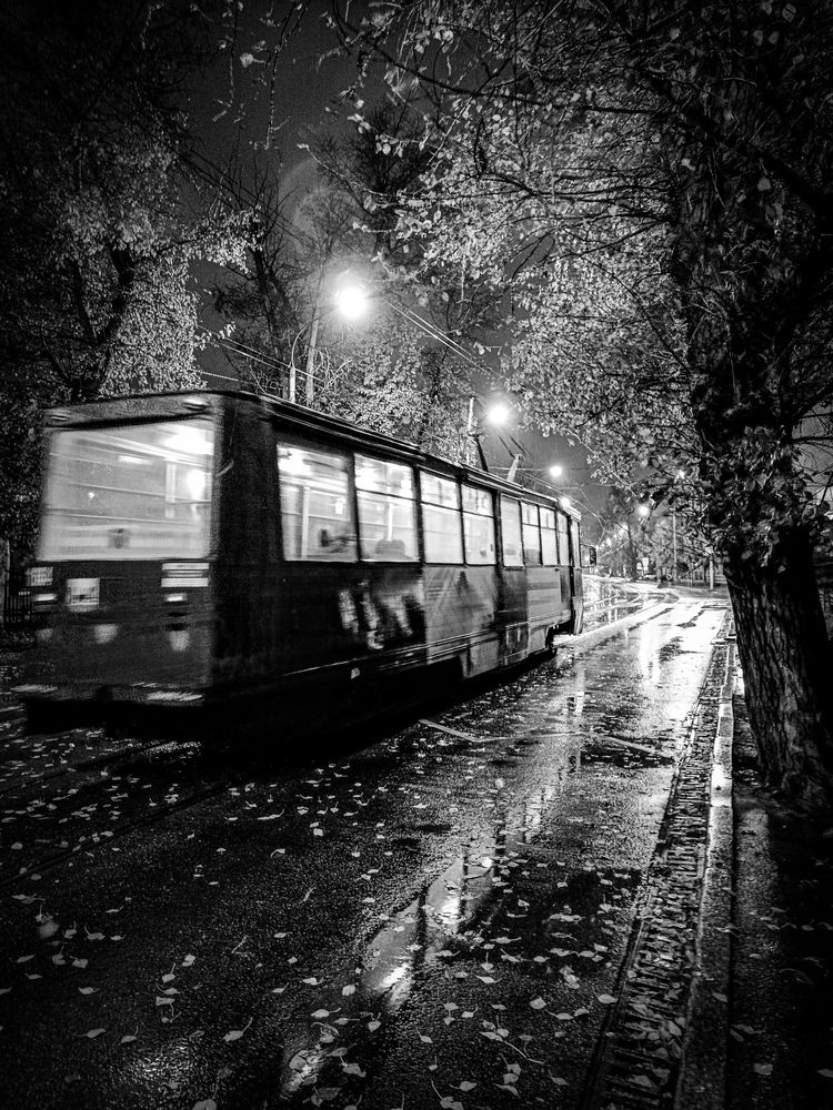 Photograph by Владимир Сушкин