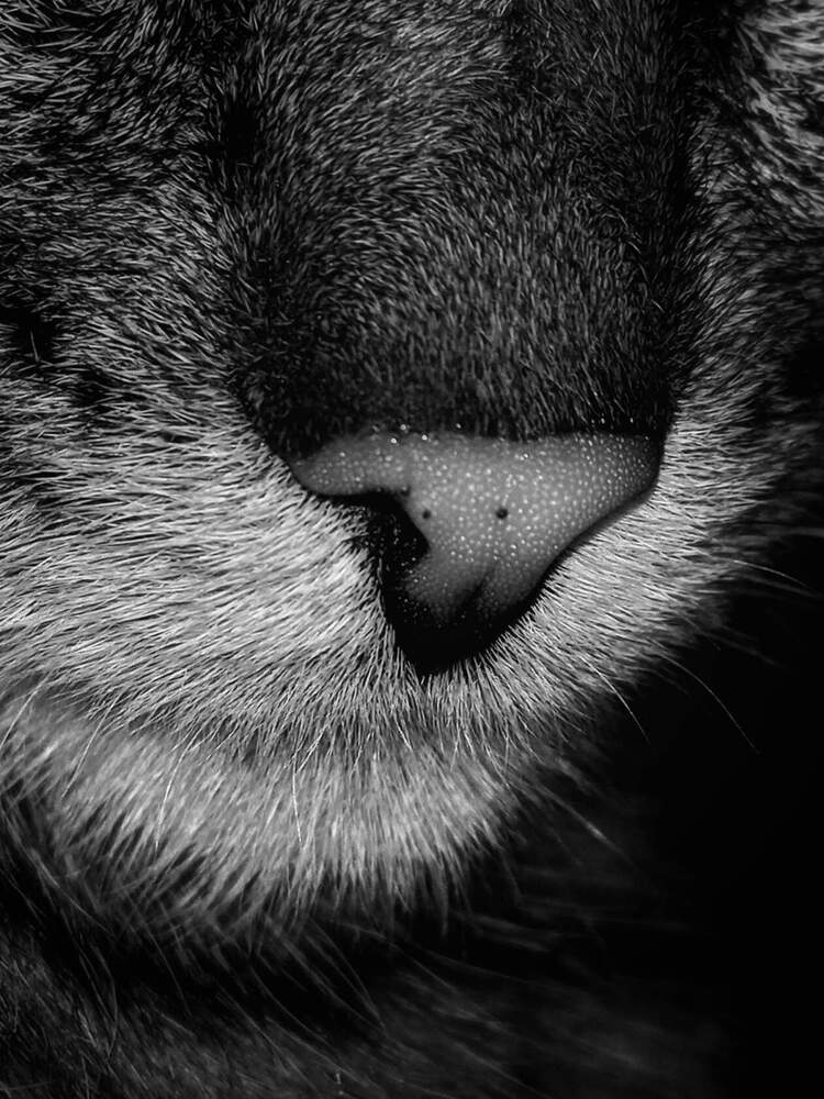 Photograph by Александра Королёва