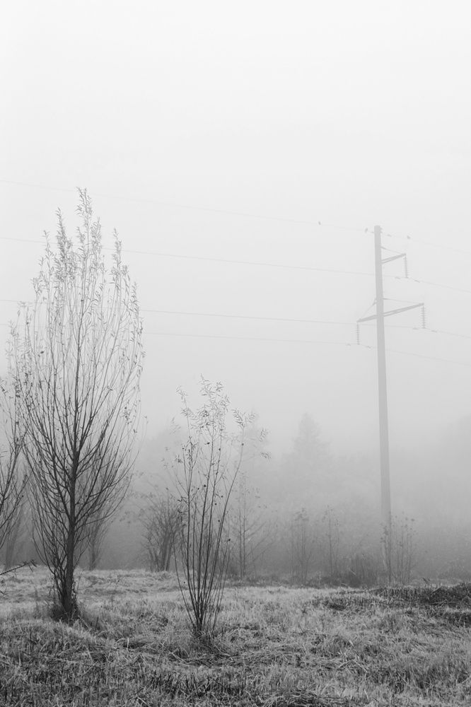 Photograph by Владимир Леликов-Кузьменко