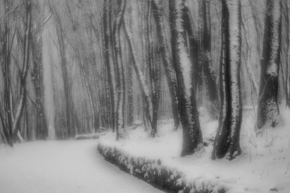 Photograph by Виталий Маслов