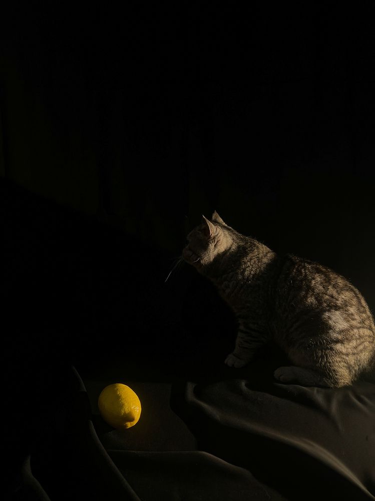 Photograph by Ксения Рейнгардт