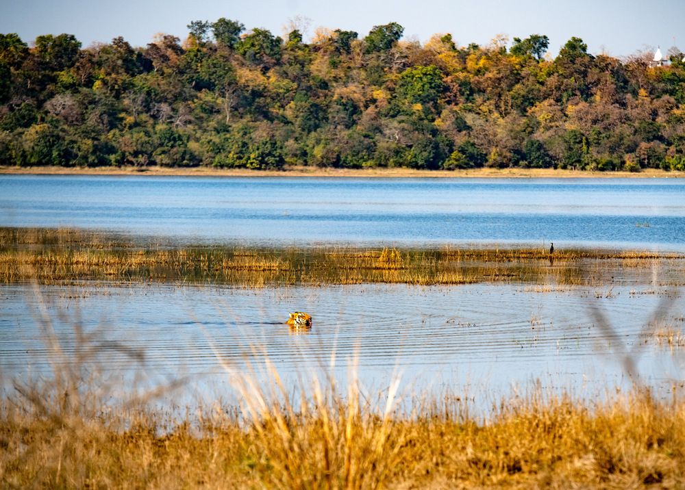 Photograph by Nitin Baste