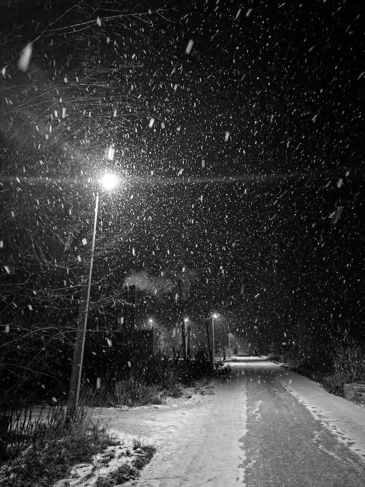 Photograph by BorzIN