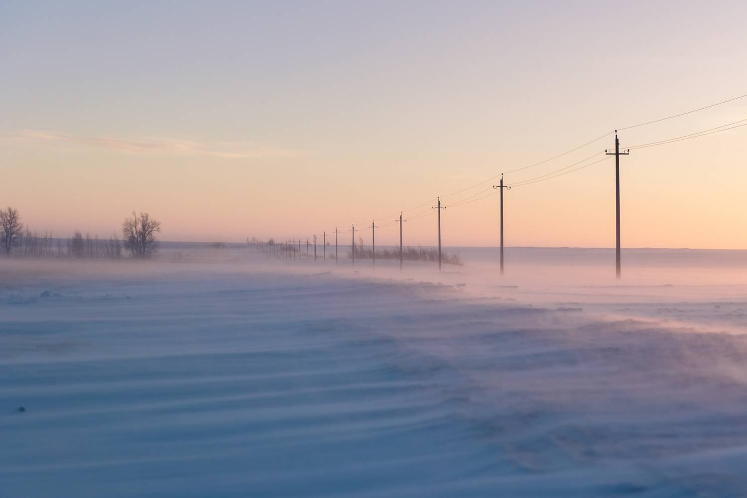 Фотография #11868201