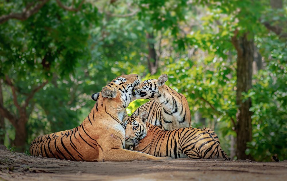 The warmth of a family