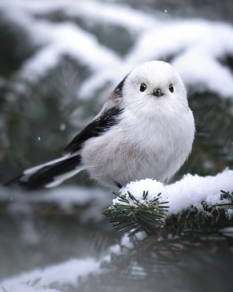 Photograph by Поляков Михаил