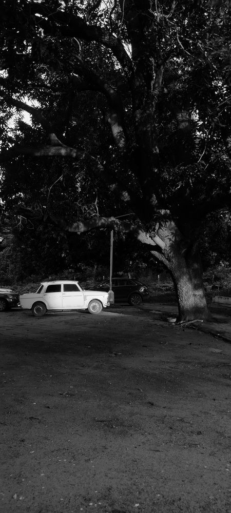 Photograph by Charmi Patel