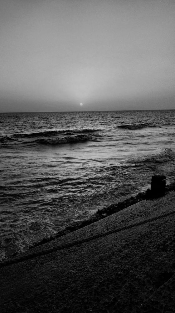 Photograph by Charmi Patel