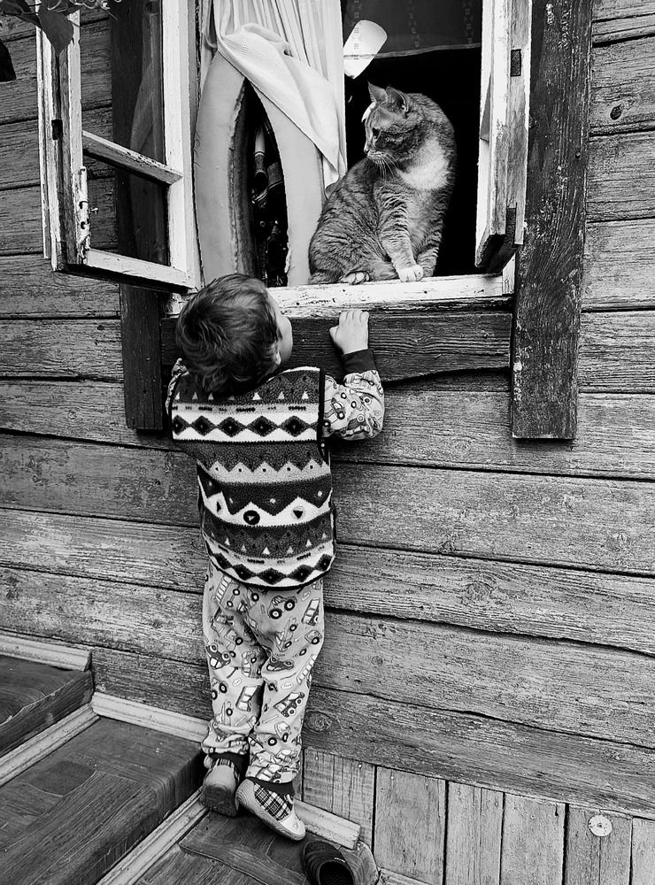 Photograph by Романов Никита