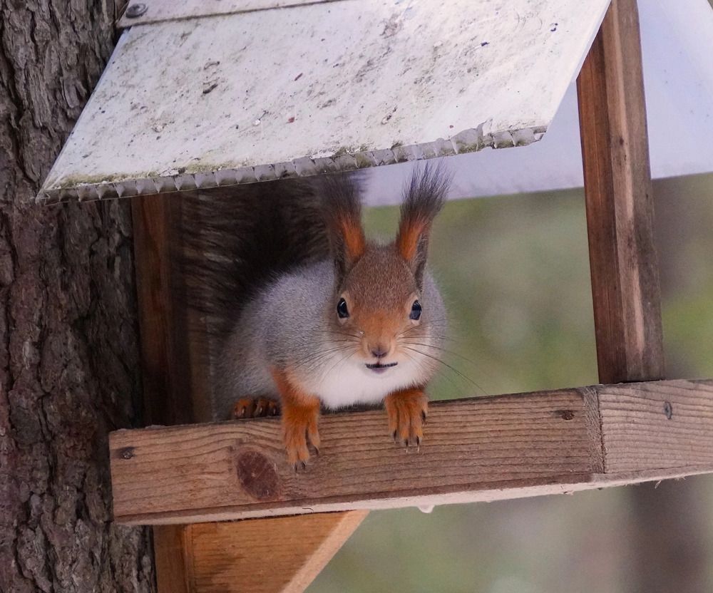 Photograph by Светлана Хохлова