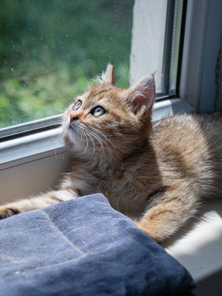 Photograph by Аида Тастенова