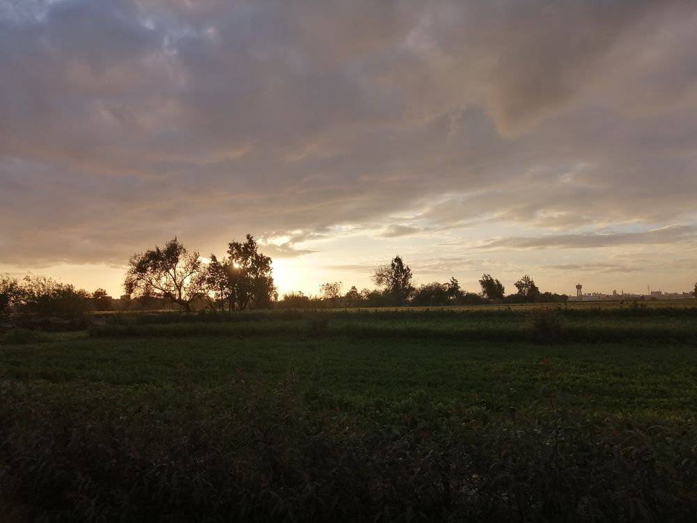 Photograph by Rehab Mohamed Ibrahim