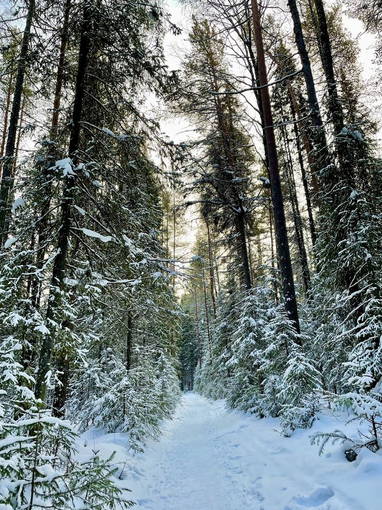 Photograph by Светлана Хохлова