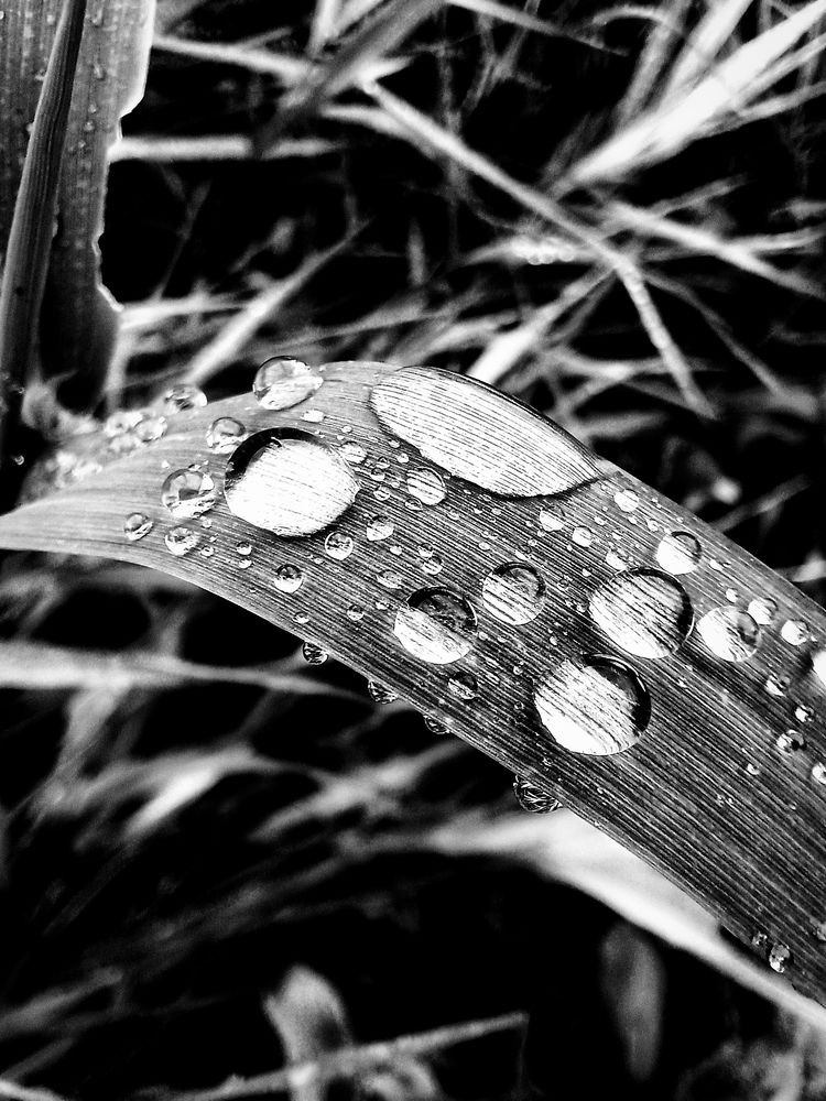 Фотография автора Екатерина Солохина