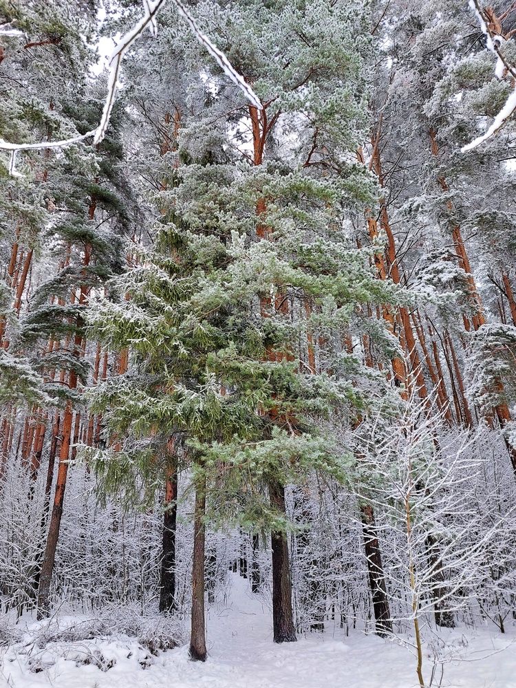 Photograph by Ксения Цветкова