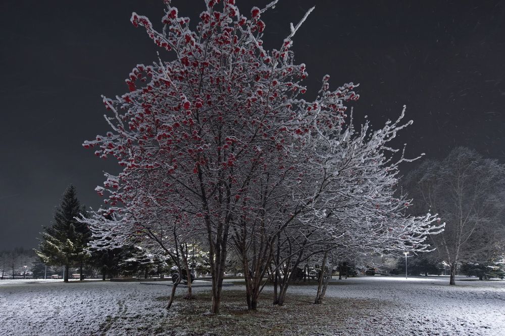 Photograph by Александр КАИ