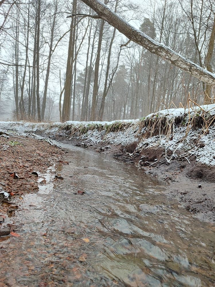Photograph by Станислав Васильев