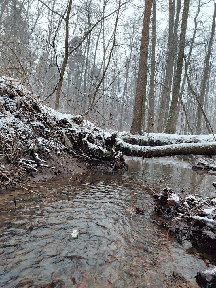 Photograph by Станислав Васильев