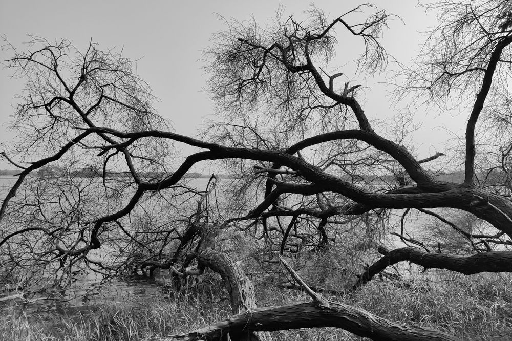 Photograph by Meet Kuntmal