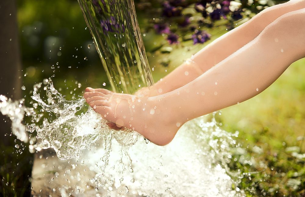 Photograph by Лидия Баженова