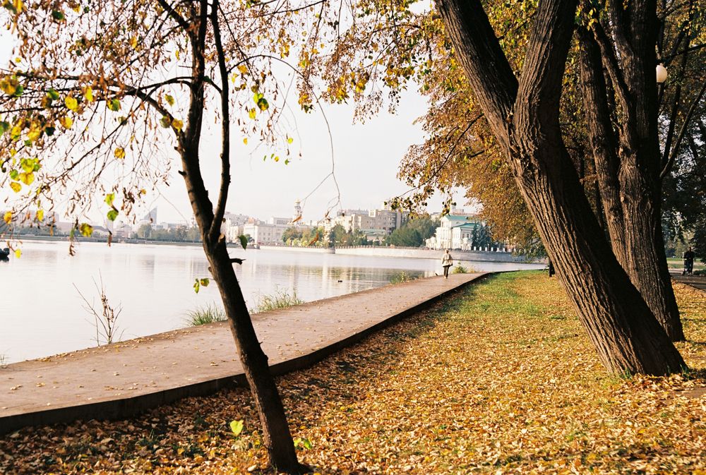 Photograph by Михаил Васьков